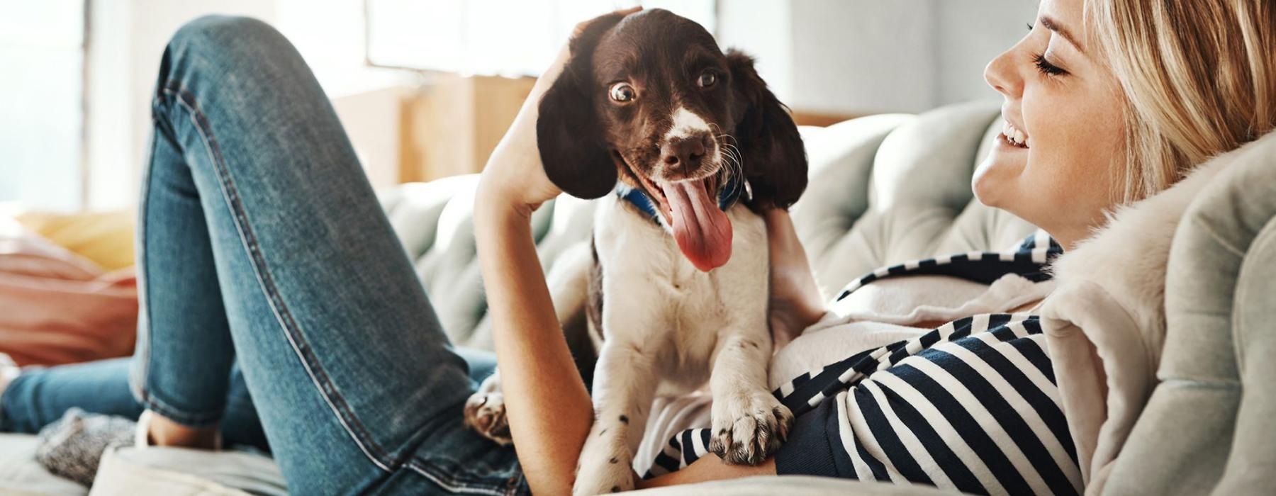 woman lies on a couch and pets her dog